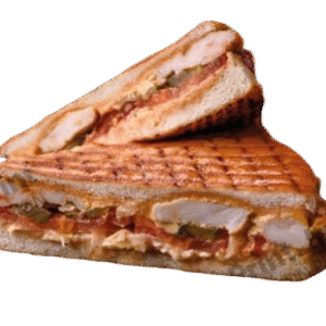 Panini